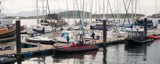 Oban Marina whyw23 fri 800 4503
